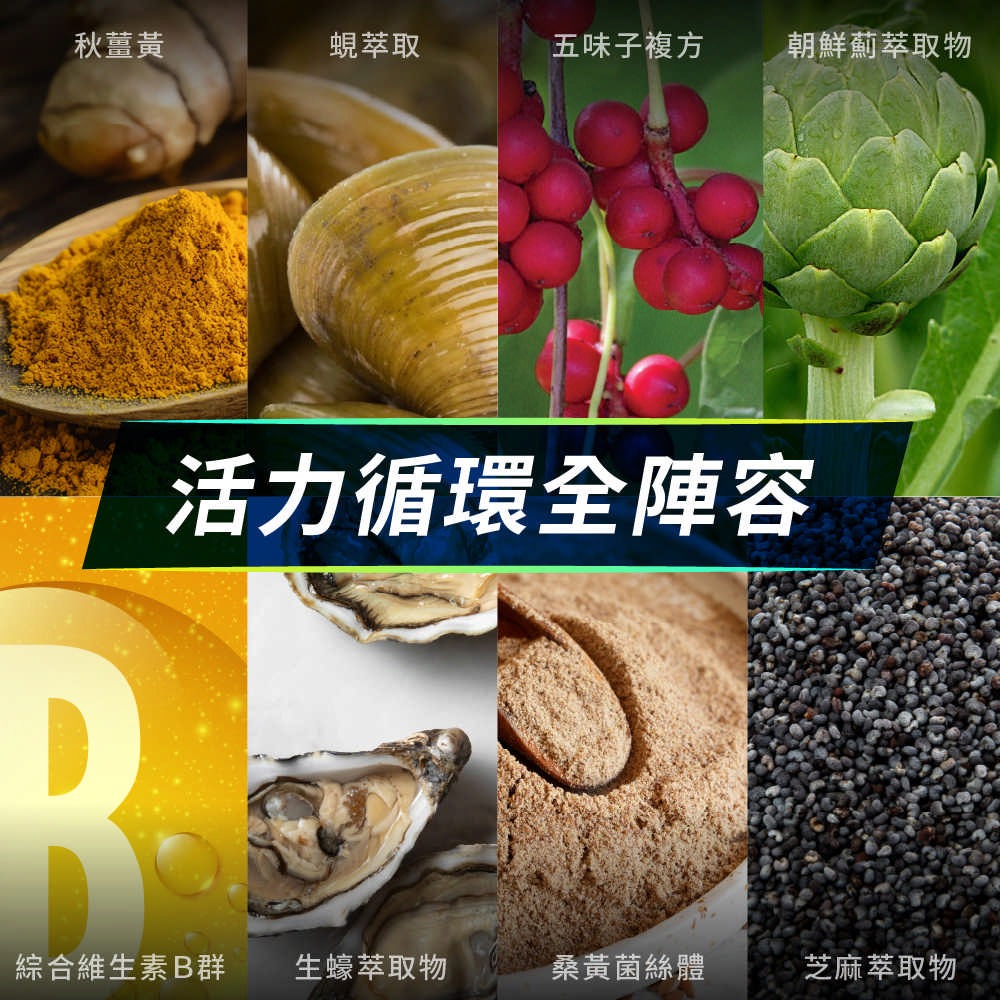 東華堂 甘舒活精力活原素EX500mgx30顆*1【贈】統欣生技 薑黃蜆錠300mgx180錠*1-細節圖6