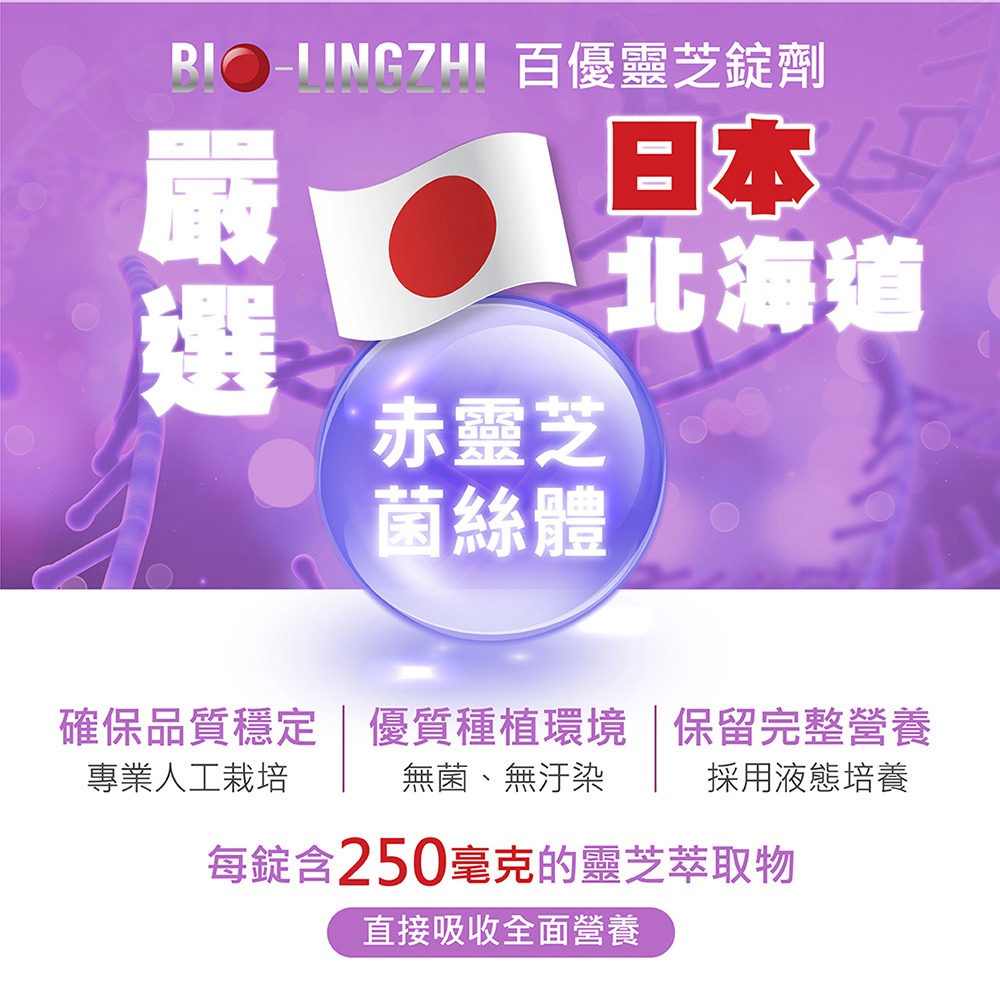 BIO LINGZHI 百優靈芝錠劑100錠*1【贈】久保雅司 長命草黑加強膠囊 300mgx30粒*2-細節圖4