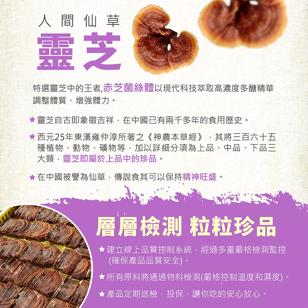 BIO LINGZHI 百優靈芝錠劑100錠*1【贈】久保雅司 長命草黑加強膠囊 300mgx30粒*2-細節圖5