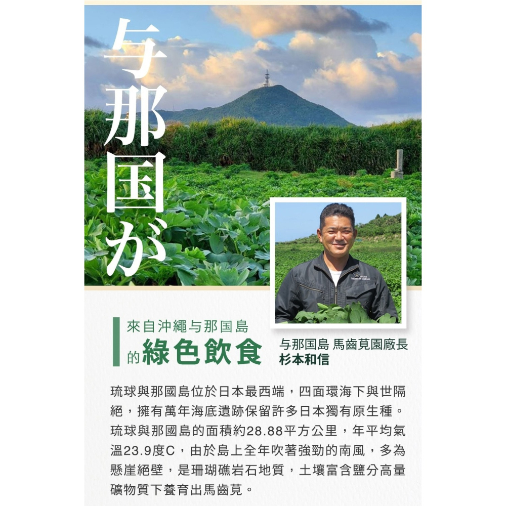 BIO LINGZHI 百優靈芝錠劑100錠*1【贈】久保雅司 長命草黑加強膠囊 300mgx30粒*2-細節圖7