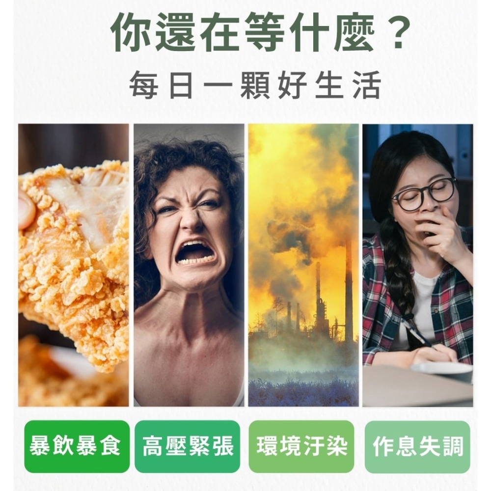 BIO LINGZHI 百優靈芝錠劑100錠*1【贈】久保雅司 長命草黑加強膠囊 300mgx30粒*2-細節圖10