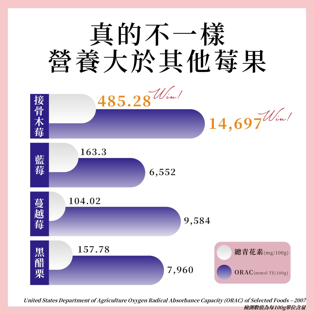 森一 北美專利黑接骨木莓+C 2gx30包*1【贈】KHDr.日舒萃然B膠囊 430mgx30粒*3-細節圖4