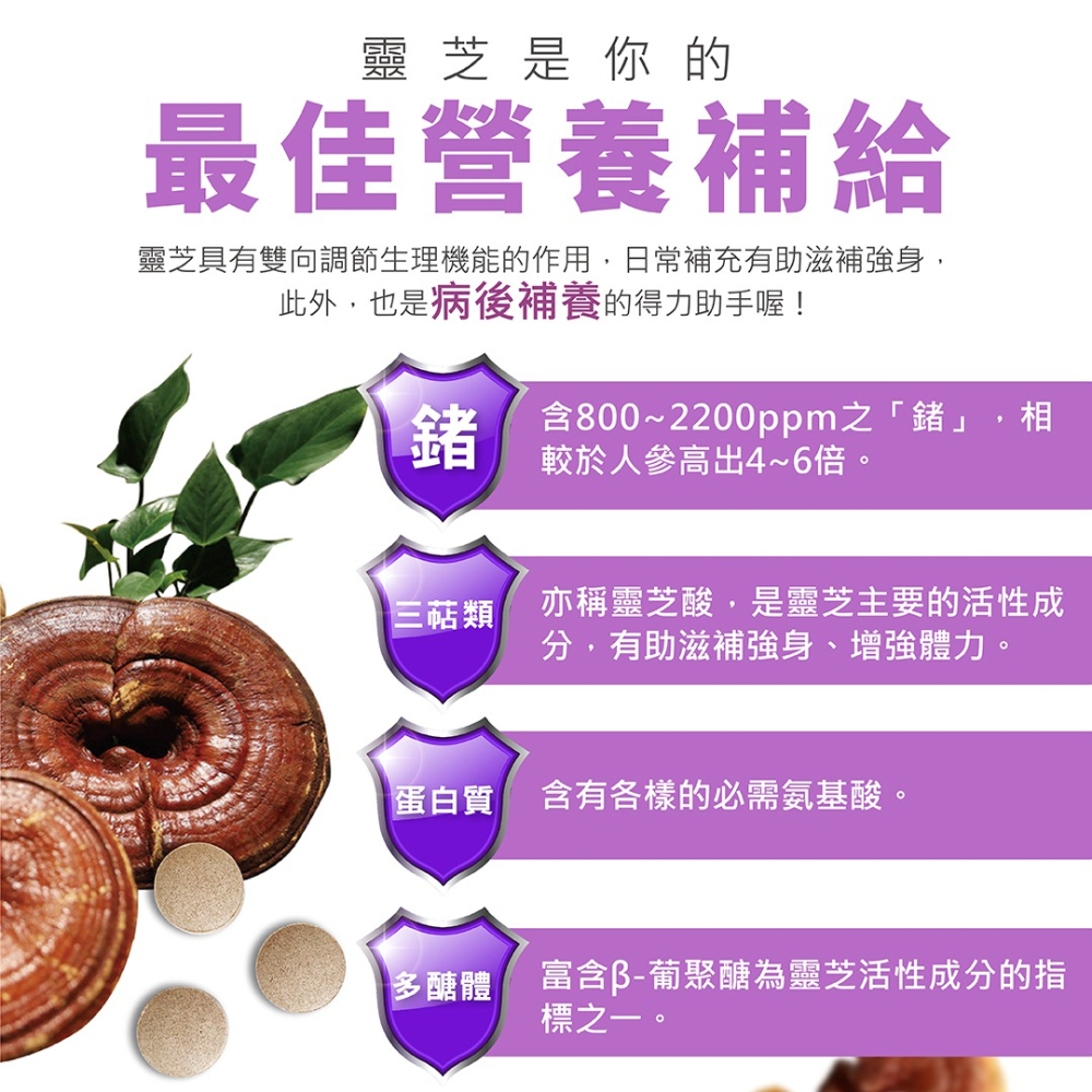 BIO LINGZHI 百優靈芝錠劑100錠*1【贈】愷爾氏 八孅盈 孅橙茶花調理茶3gx8包*3-細節圖5