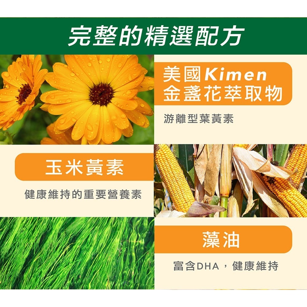 NORITLE諾得 挪威頂極魚油軟膠囊0.7gx30粒*1【贈】久保雅司 水亮好世界 葉黃素695.4mgx30粒*1-細節圖10