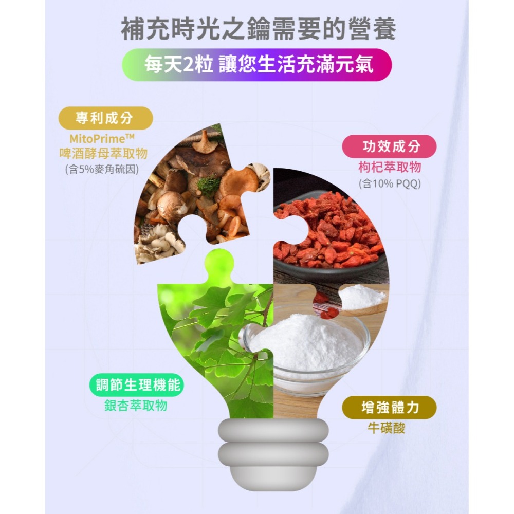 海巨 海水蜆450mgx60顆*1【贈】SHINER 憶活萃30粒*1-細節圖10