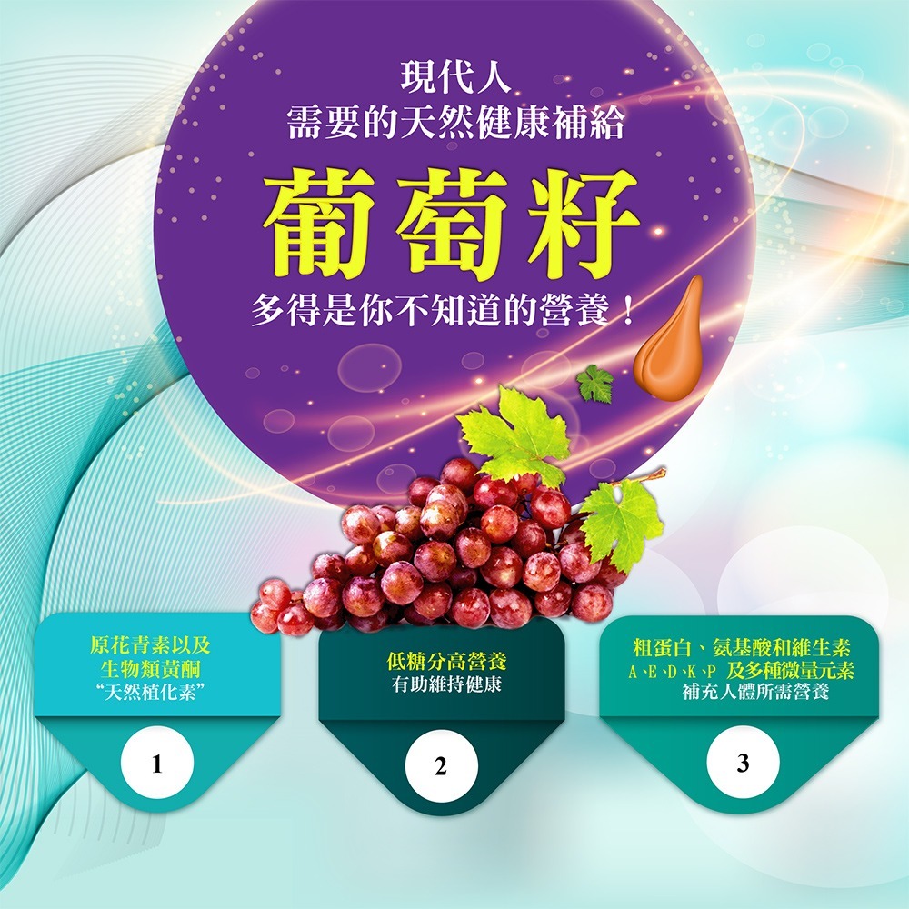 BIO GRAPE 百優葡萄籽錠劑90錠*1【贈】久保雅司 水亮好世界 葉黃素695.4mgx30粒*1-細節圖3