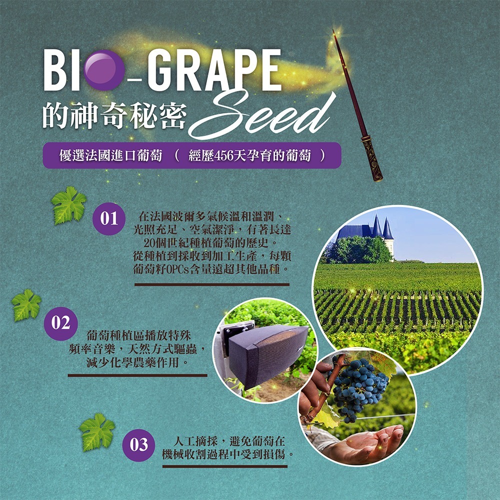 BIO GRAPE 百優葡萄籽錠劑90錠*1【贈】久保雅司 水亮好世界 葉黃素695.4mgx30粒*1-細節圖5