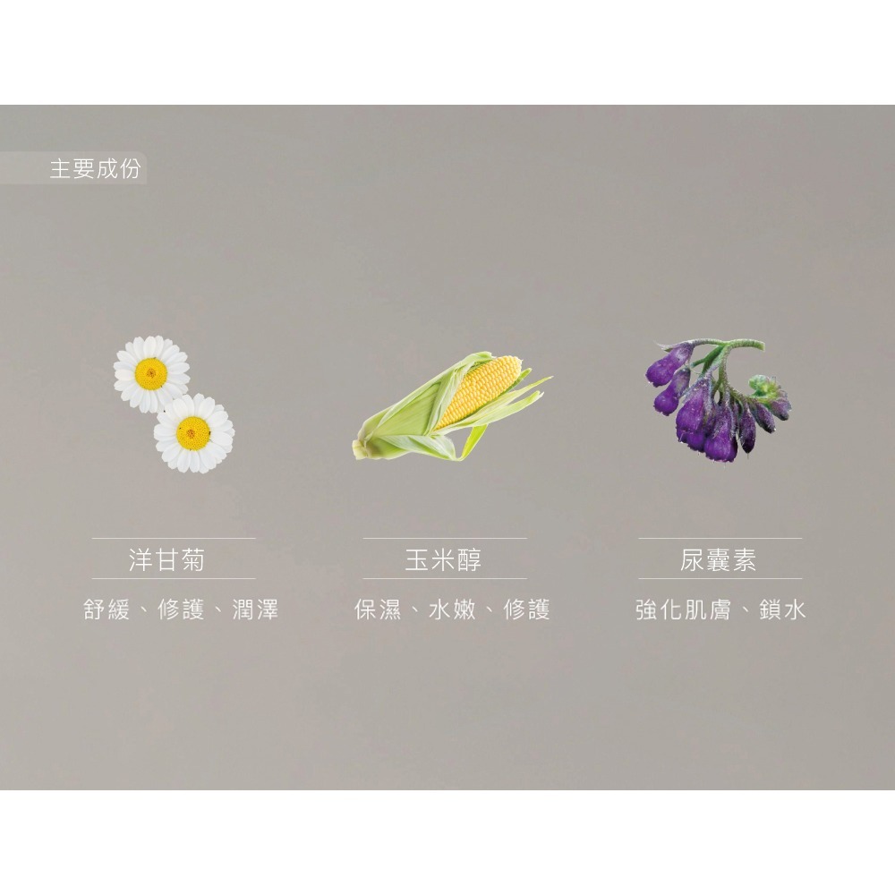 少海生技 安瓶精華30ml*1 (洋甘菊舒緩/傳明酸美白 任選)【贈】BB 外泌體奇蹟修護安瓶精華10ml*1-細節圖5