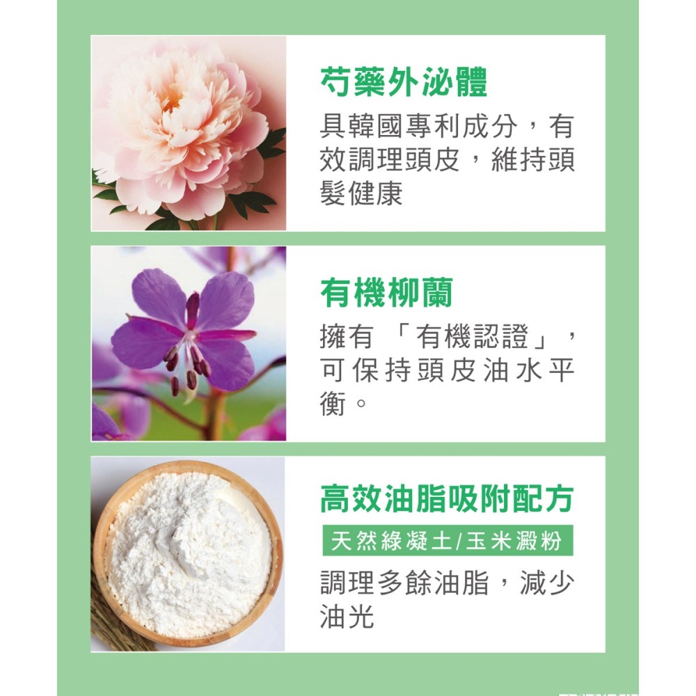 舒妃自然匯InNature 乾洗髮粉霧25g*1【贈】舒妃自然匯 綠咖啡強韌防斷落洗髮精300ml*1-細節圖5