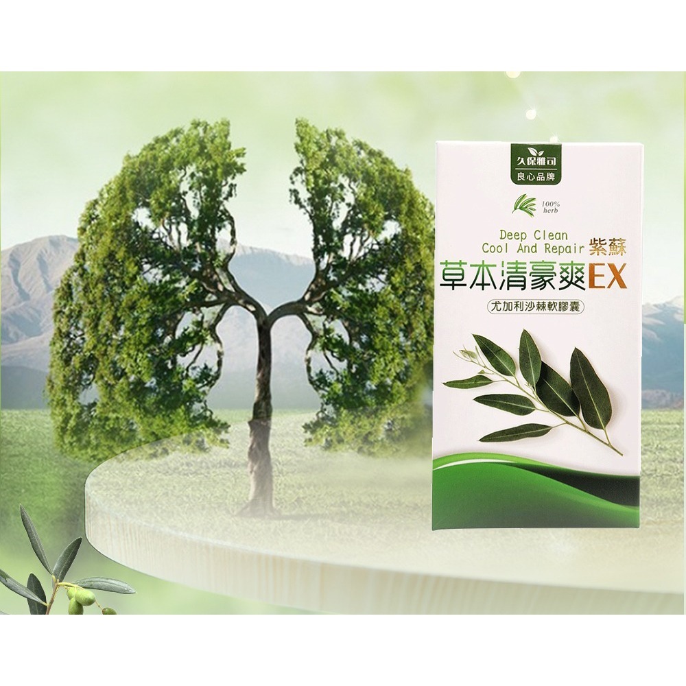 森一 北美專利黑接骨木莓+C 2gx30包*1【贈】久保雅司 清豪爽EX紫蘇尤加利軟膠囊*1 效期2026.11.8-細節圖8