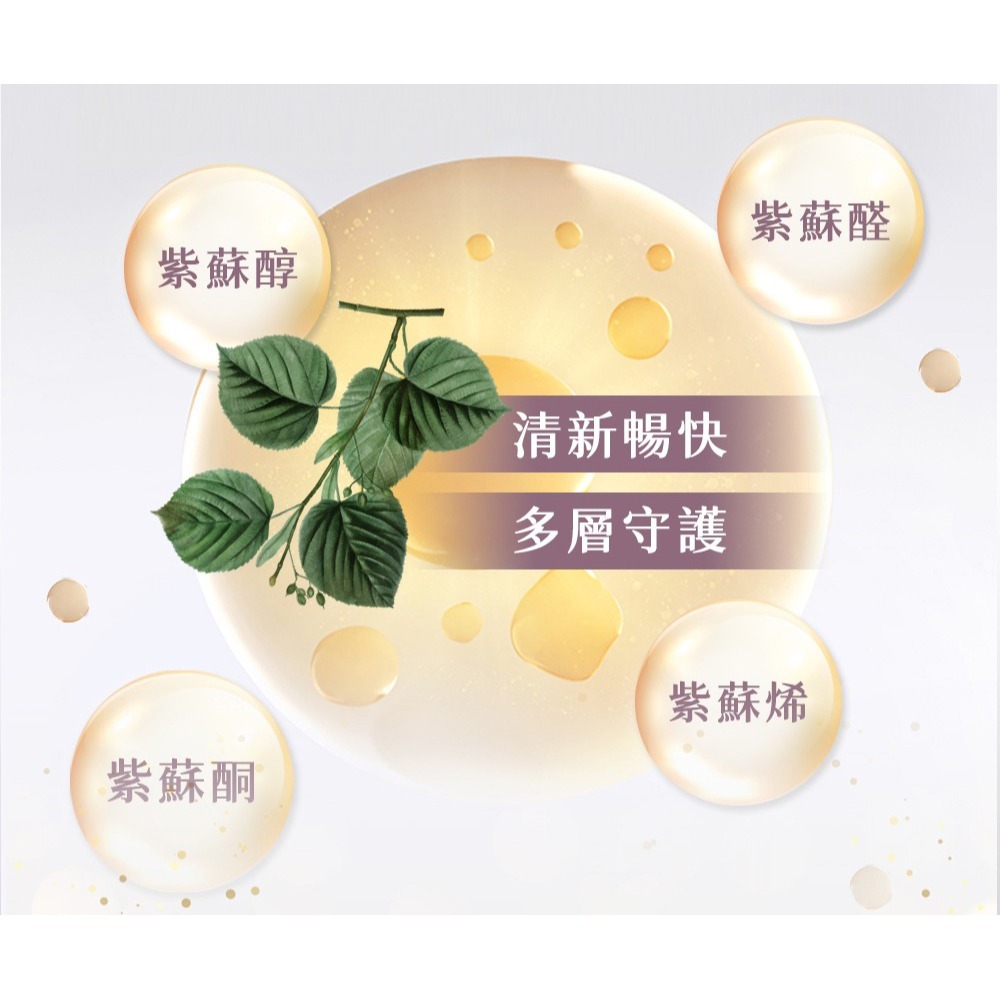 森一 北美專利黑接骨木莓+C 2gx30包*1【贈】久保雅司 清豪爽EX紫蘇尤加利軟膠囊*1 效期2026.11.8-細節圖9