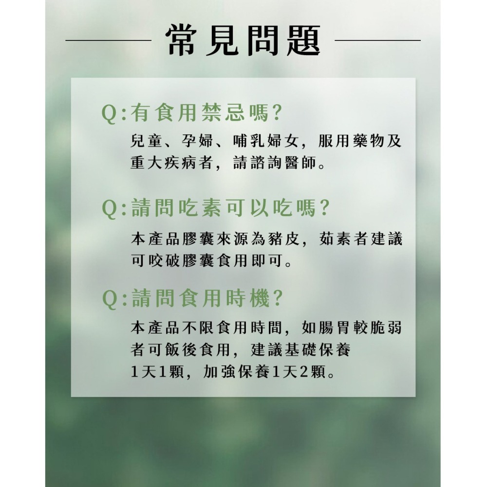 森一 北美專利黑接骨木莓+C 2gx30包*1【贈】久保雅司 清豪爽EX紫蘇尤加利軟膠囊*1 效期2026.11.8-細節圖10