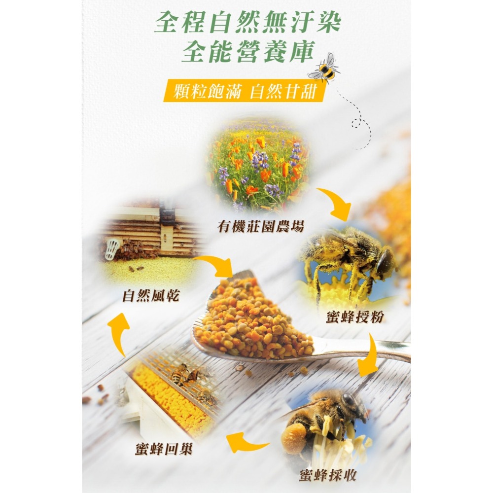 德之寶 維他命C+鋅 檸檬沖泡飲*2 效期2026.3.31【贈】瑪莉家族 法國七彩花粉*1 效期2026.7.12-細節圖6