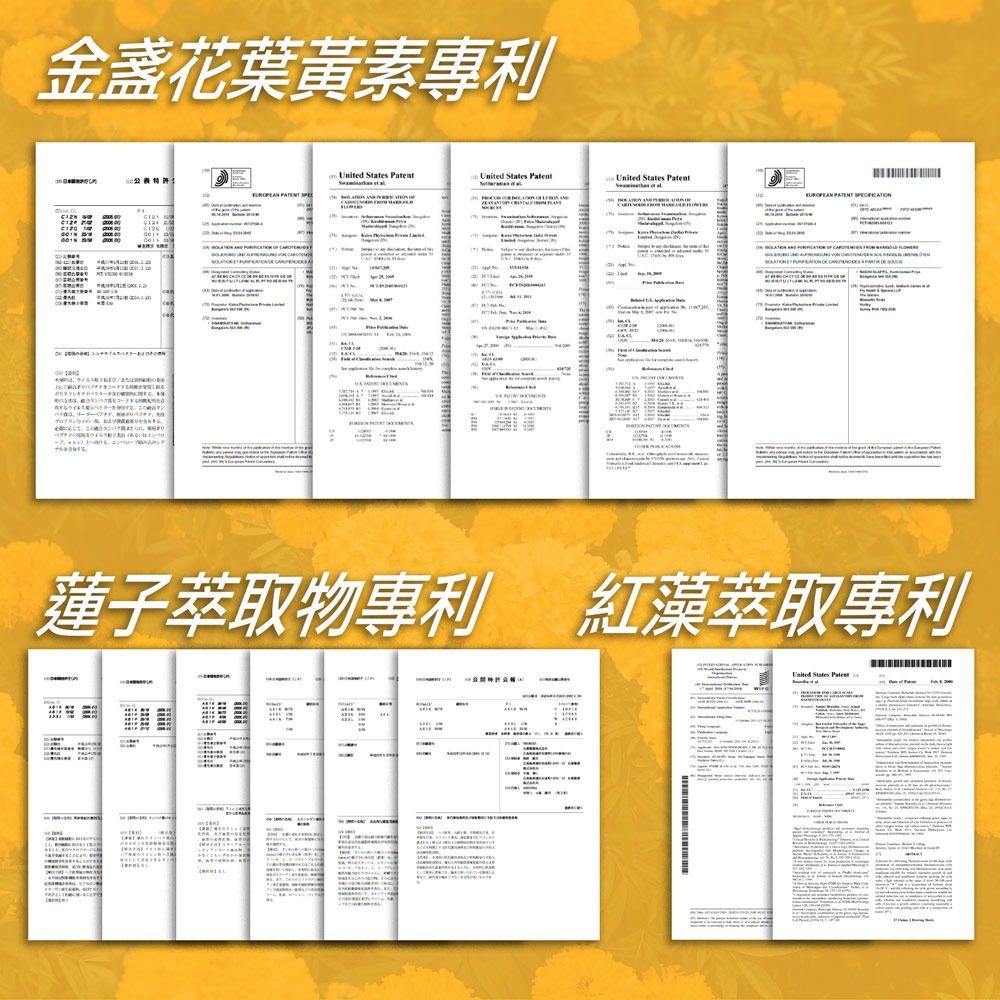 德之寶深海魚油Omega-3+葉酸+B1+B6+B12*1【贈】sunVenusNMN金盞花葉黃素膠囊*1效期26.4-細節圖10