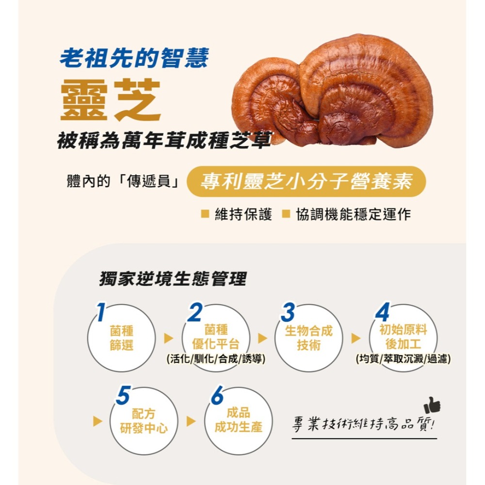 東華堂 金泌憶智力PLUS 500mgx30顆*1【贈】三五生技 三五藜麥B群*3 效期2026.09.02-細節圖3