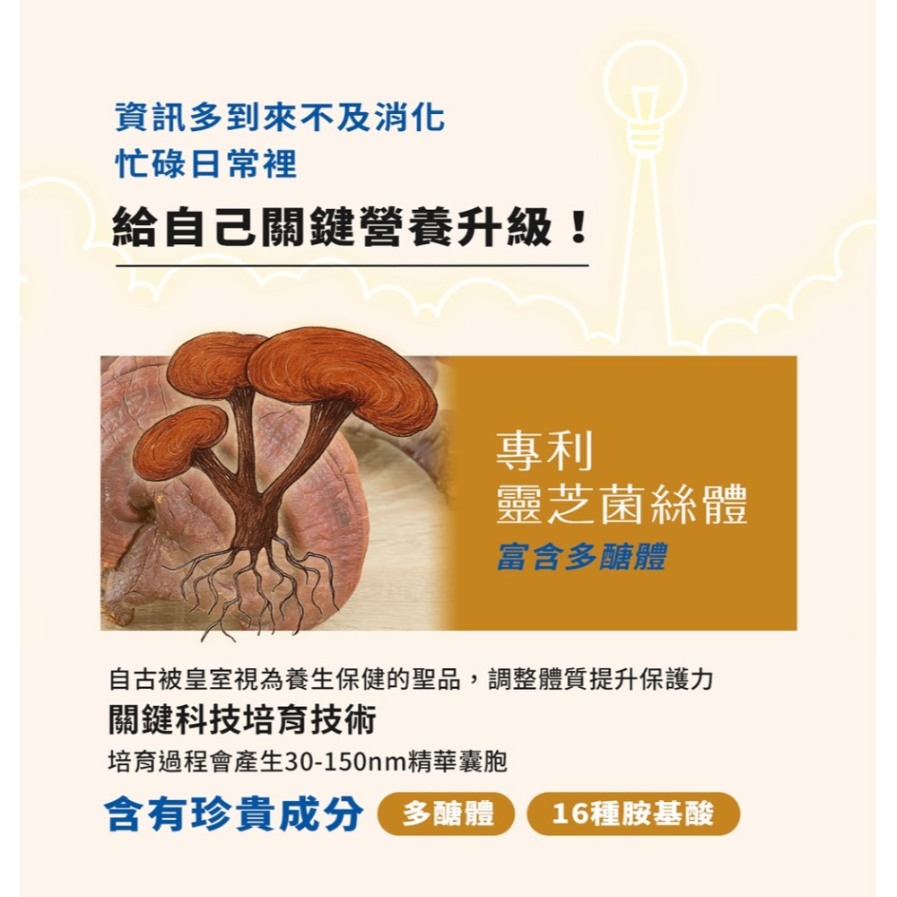 東華堂 金泌憶智力PLUS 500mgx30顆*1【贈】三五生技 三五藜麥B群*3 效期2026.09.02-細節圖5