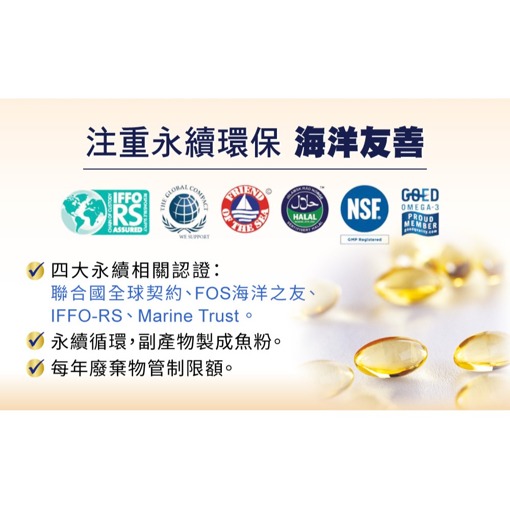 三五生技 三五膽鹼膠囊0.65gx60顆*1【贈】NORITLE諾得 挪威頂極魚油軟膠囊0.7gx30粒*1-細節圖8