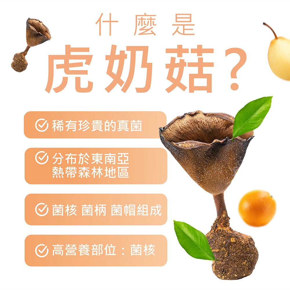 tigrox 虎奶菇養氣飲20mlx12包*1【贈】聯新生技 療肺草SOD-Like諾麗黃金蟲草軟糖*1-細節圖6