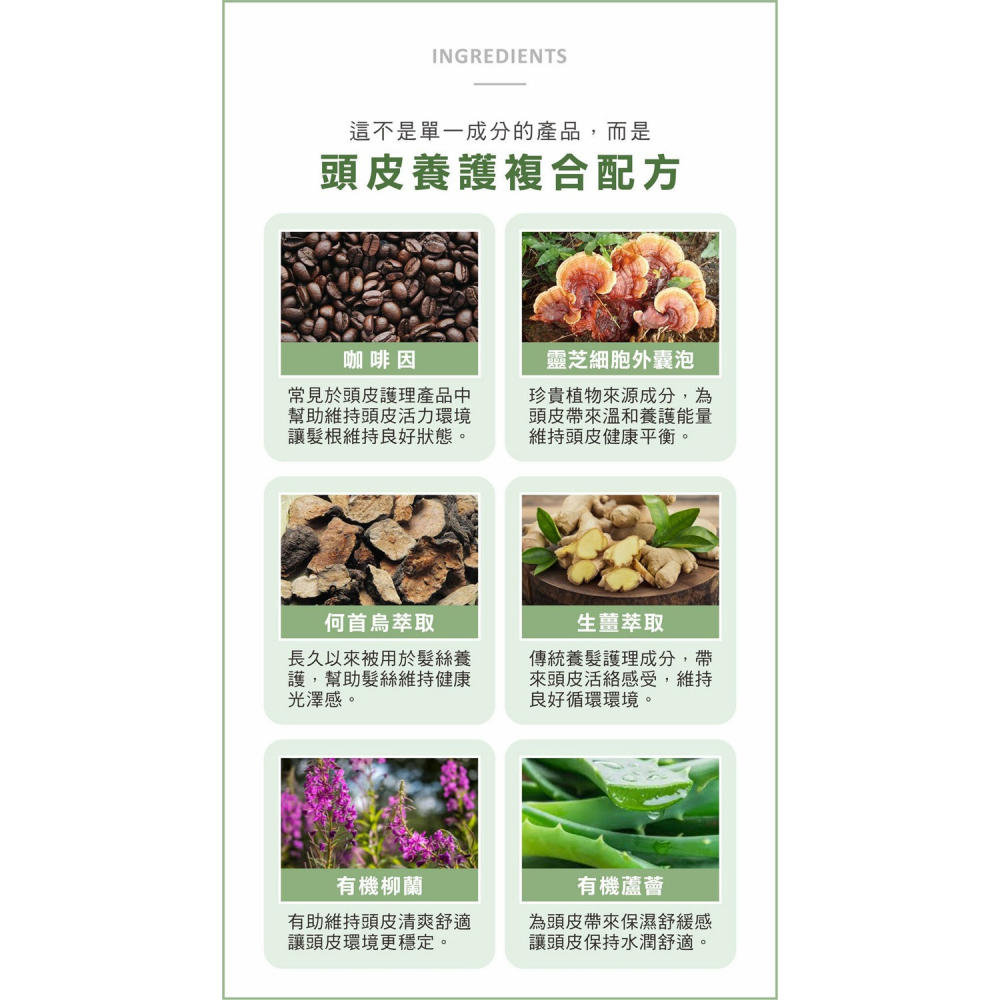 舒妃自然匯InNature 蘊髮重胜養髮液30ml*1瓶【贈】COCOCHI AG抗糖小肌蛋晚安面膜5顆*1盒-細節圖4