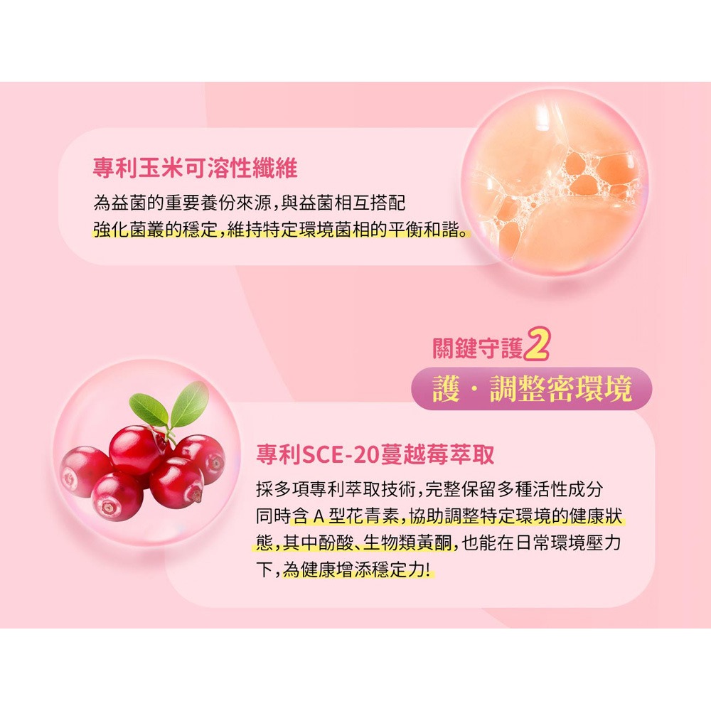 東華堂 專利莓果益生菌私密粉3gx30包*1-細節圖6