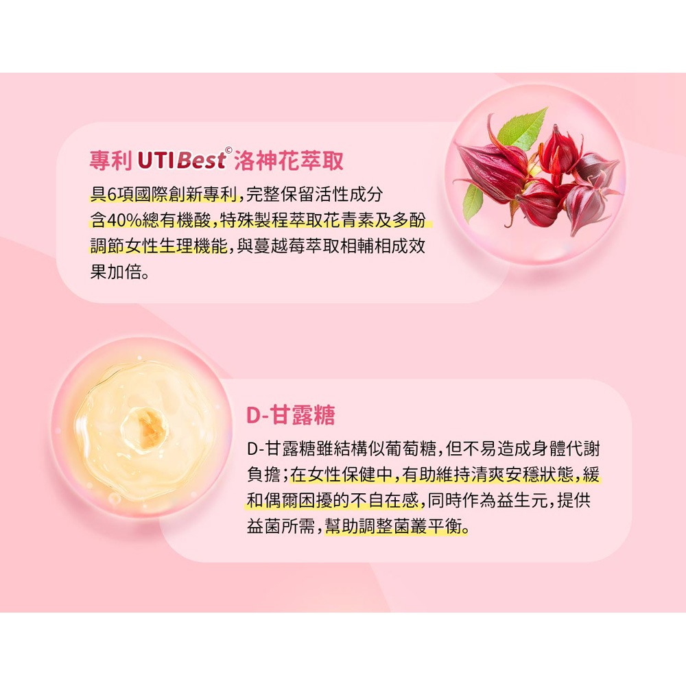 東華堂 專利莓果益生菌私密粉3gx30包*1-細節圖7