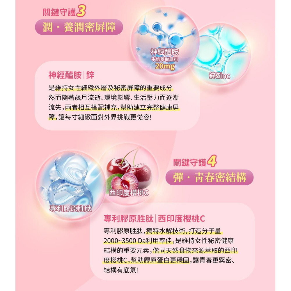 東華堂 專利莓果益生菌私密粉3gx30包*1-細節圖8
