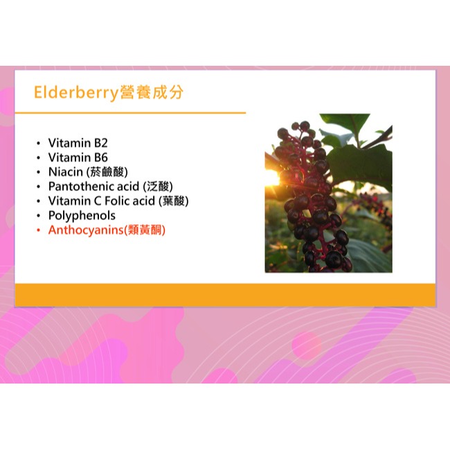東華堂 澎潤姬冰雪莓果膠原胜肽活妍素5gx20包*1-細節圖5