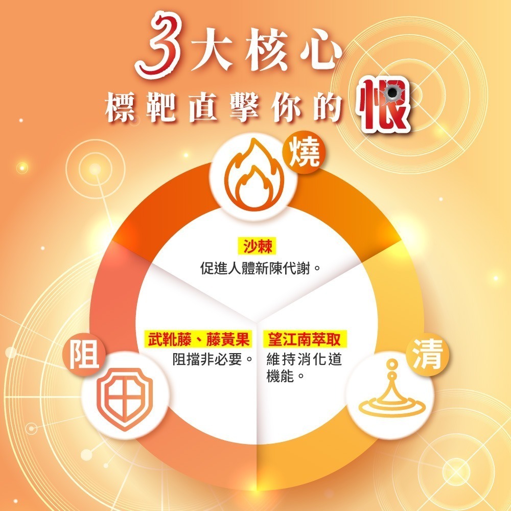 大漢酵素 樂EAT孅膠囊60顆*1【贈】愷爾氏 八孅盈漢方草本茶3gx8包*1-細節圖3
