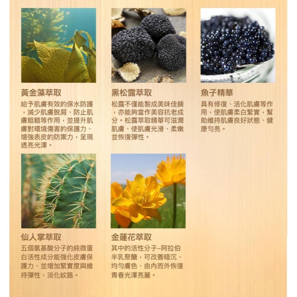 Abysse 黃金藻嫩彈緊緻菁華乳50ml*1【贈】Kolin 1.7L復古美型保溫快煮壺KPK-LN216*1-細節圖3