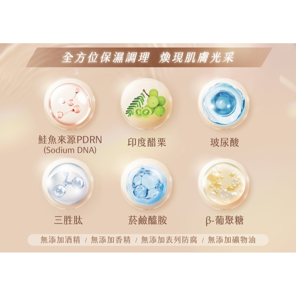JDST珍朵絲特 PDRN潤澤青春精華液30ml*1【贈】瑪莉家族 女王蜂肽緊眼霜 15ml*1-細節圖3