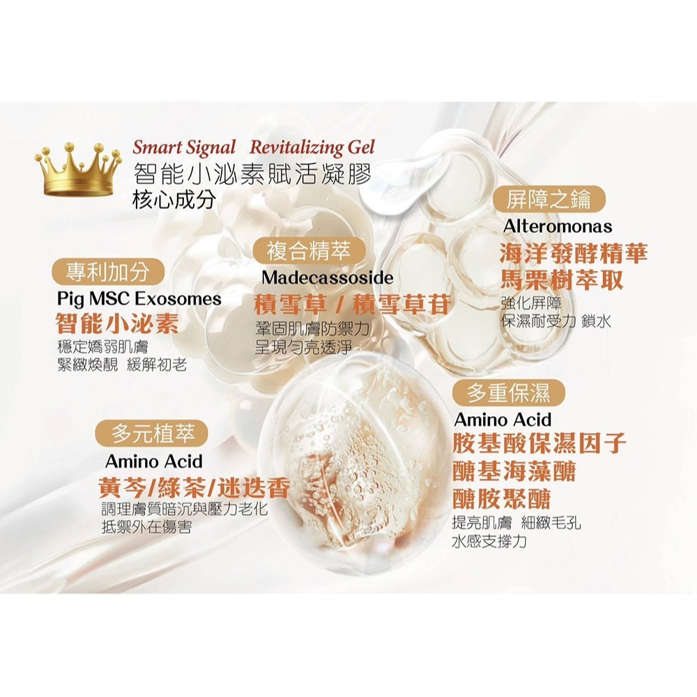 HERBELIA 智能小泌素賦活凝膠40ml*1【贈】Maria Von 泌．魚子菁萃面膜 30mlx5片*1-細節圖4