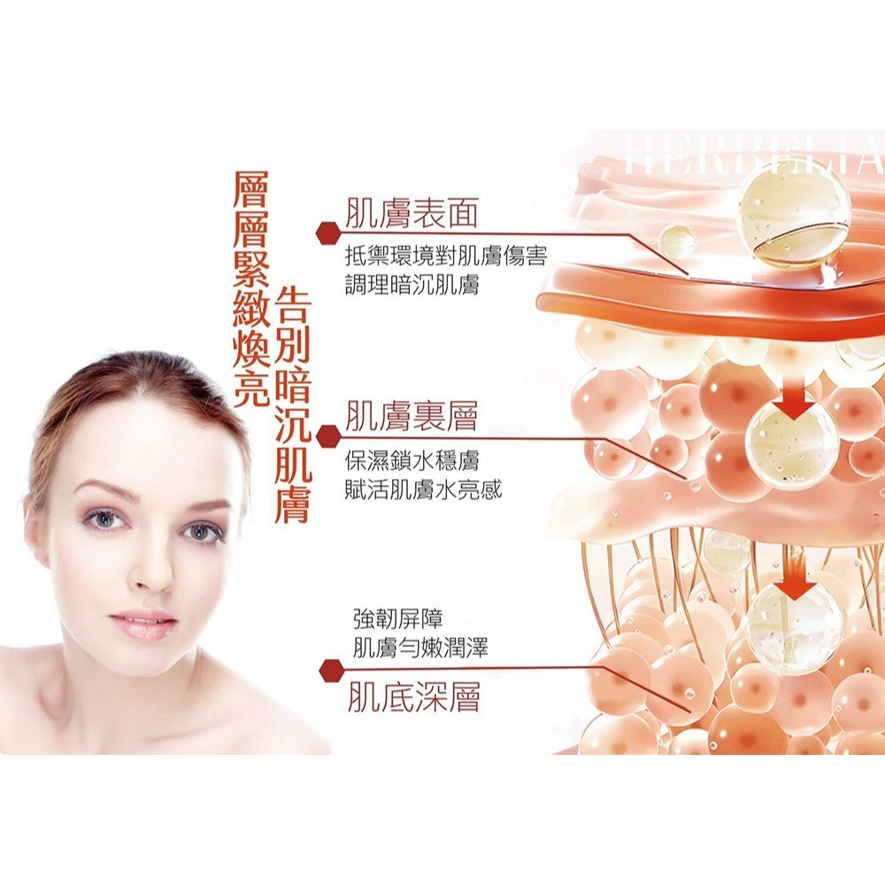 HERBELIA 智能小泌素賦活凝膠40ml*1【贈】Maria Von 泌．魚子菁萃面膜 30mlx5片*1-細節圖7