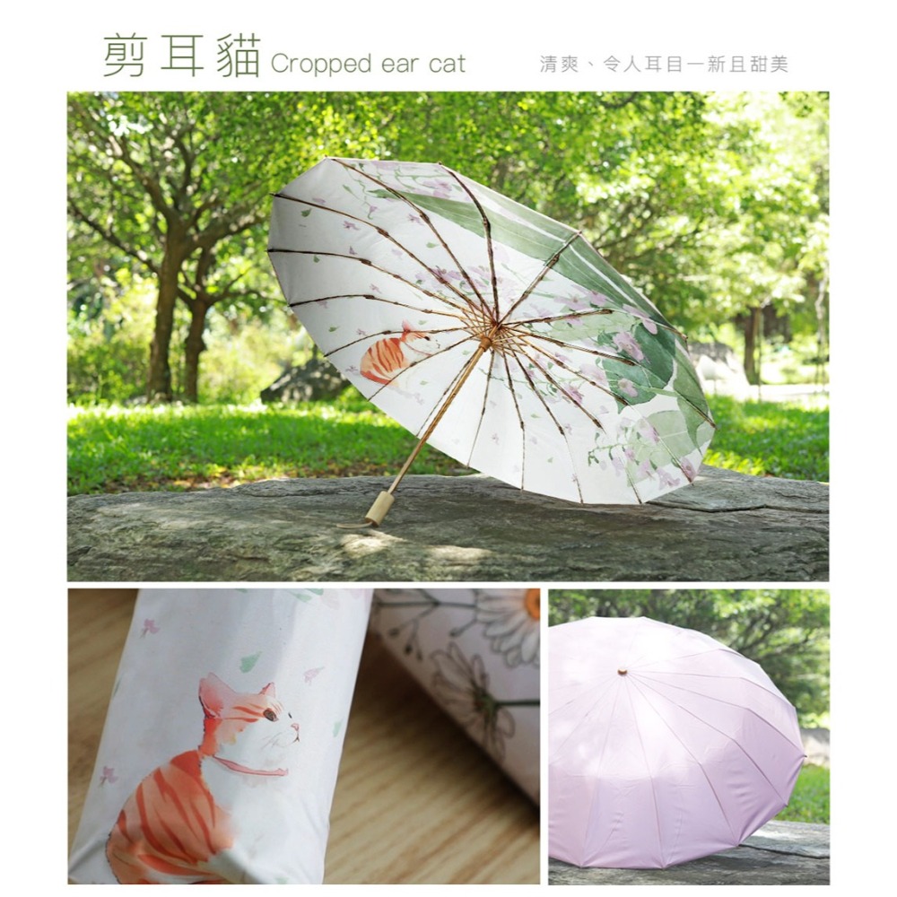 日本Hirone 彩膠晴雨傘兩入組(剪耳貓+黃雛菊)*1【贈】貝瑞爾品牌精品包包組(後背包+手拿包)*1-細節圖5