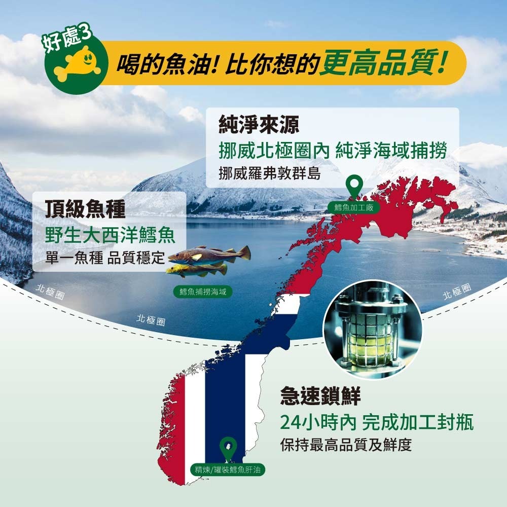 睦樂 鱈魚肝油(檸檬風味)250ml*1-細節圖7