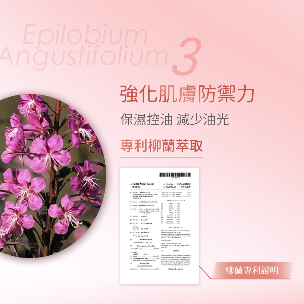 LA·VAOLORE 超導全能膠原新生凍膜 30mlx5片*1【贈】我的心機 10%積雪草賦活鎖水精華30ml*1-細節圖5