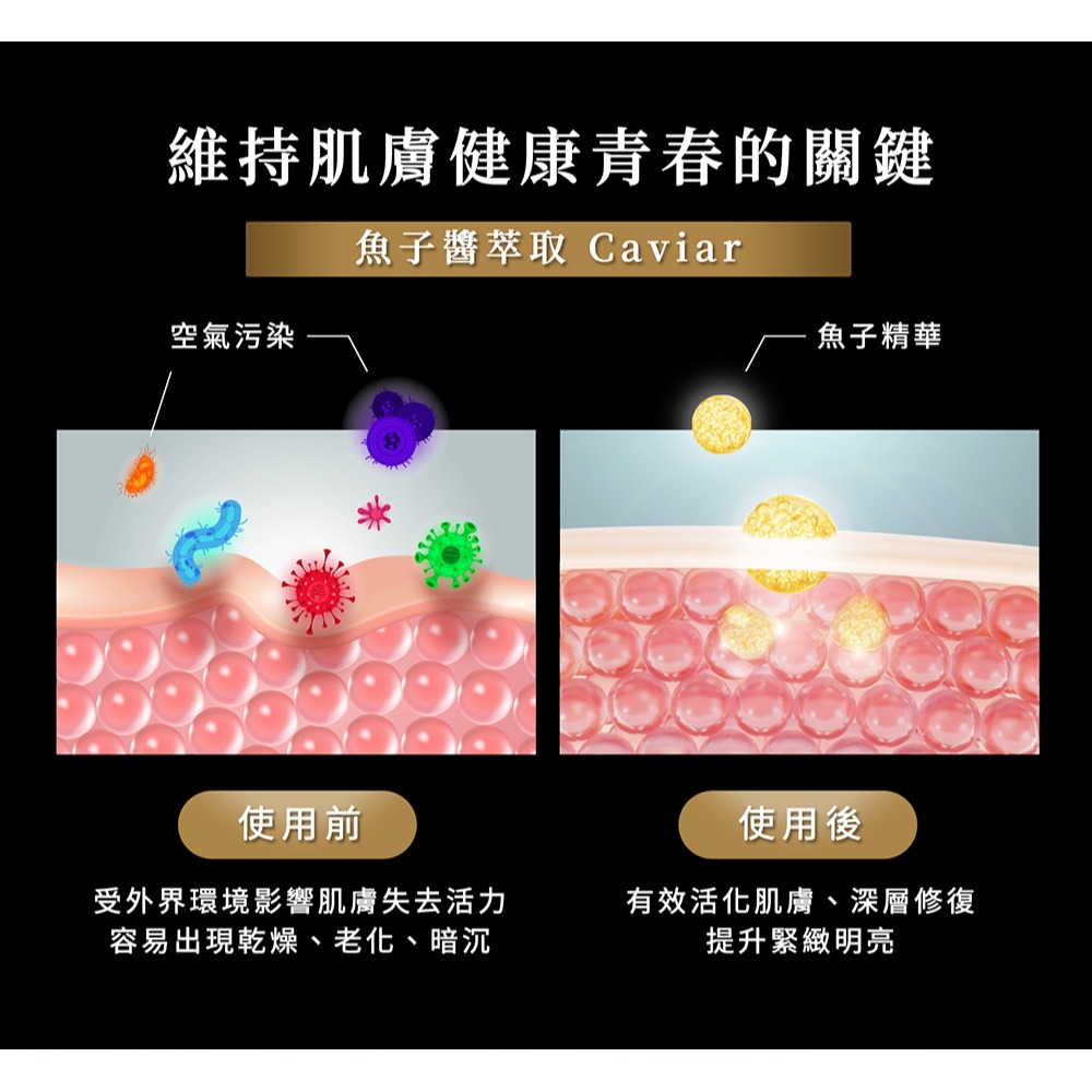 Maria Von 泌．魚子酵能奇肌霜 50g*1【贈】少海生技 超微導全效精華50ml*1-細節圖3