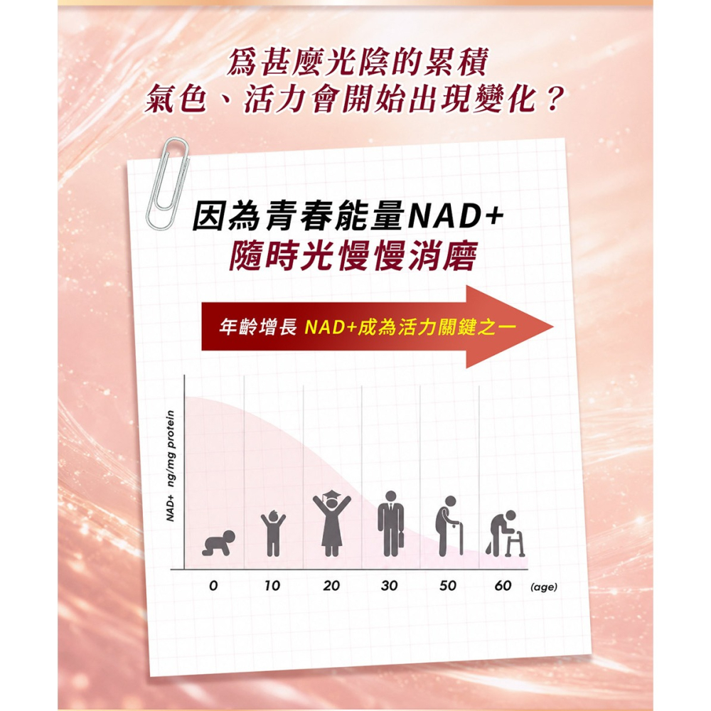 東華堂 NADH女神時光機 500mgx30顆*2【贈】東華堂 膠原蛋白左旋C500mgx100顆*1-細節圖4