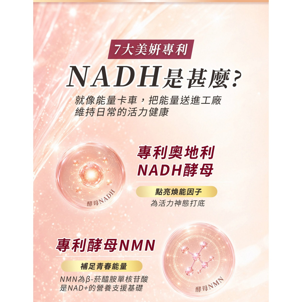 東華堂 NADH女神時光機 500mgx30顆*2【贈】東華堂 膠原蛋白左旋C500mgx100顆*1-細節圖5