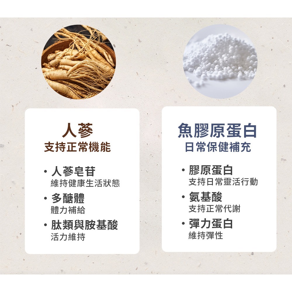 【買一送一】李英愛的美食世界 活力梅精隨身包 12gx10包/盒-細節圖4