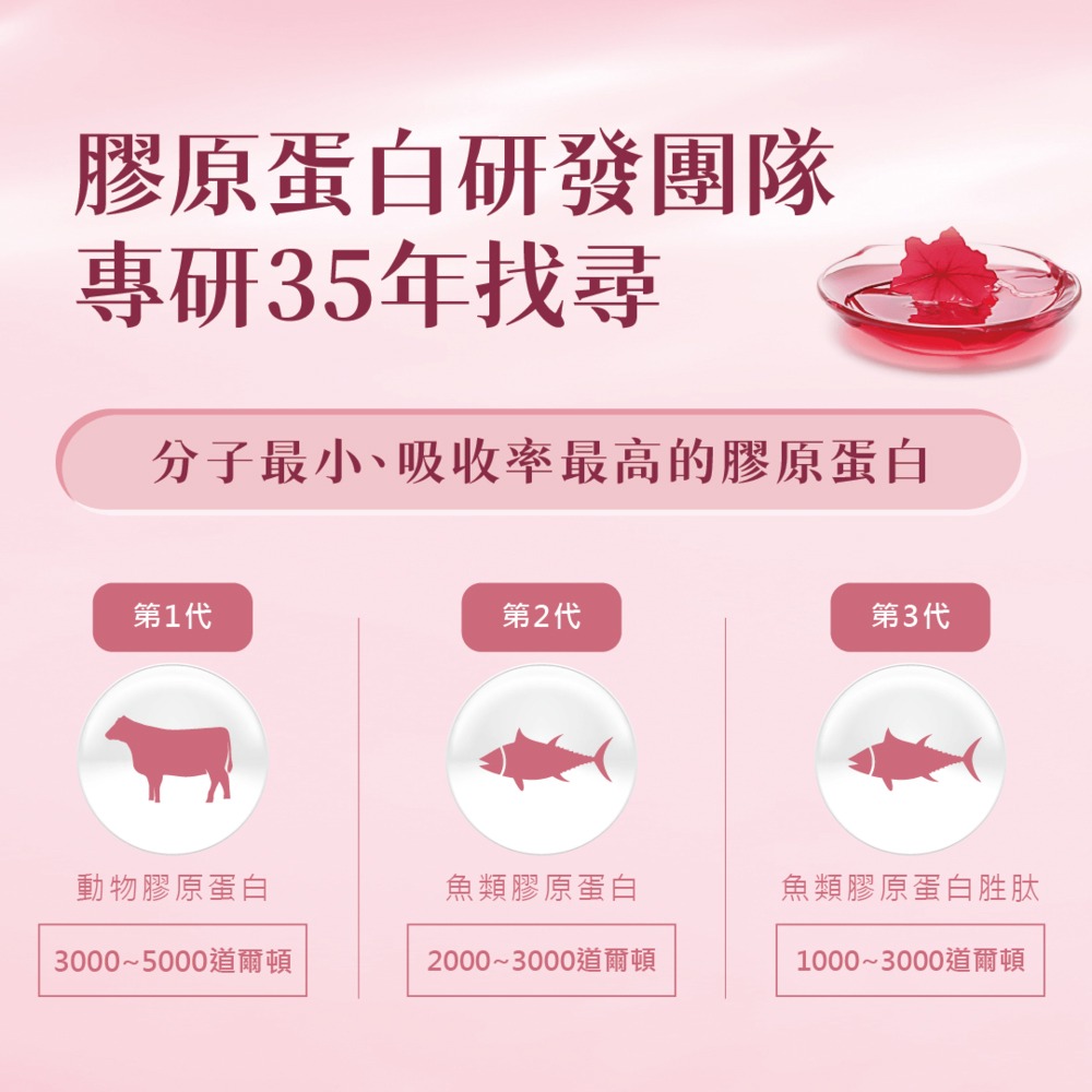 FEMOIRE night 玫瑰養顏飲 25mlx15包*1【贈】BB 外泌體奇蹟修護安瓶精華10ml*2-細節圖6