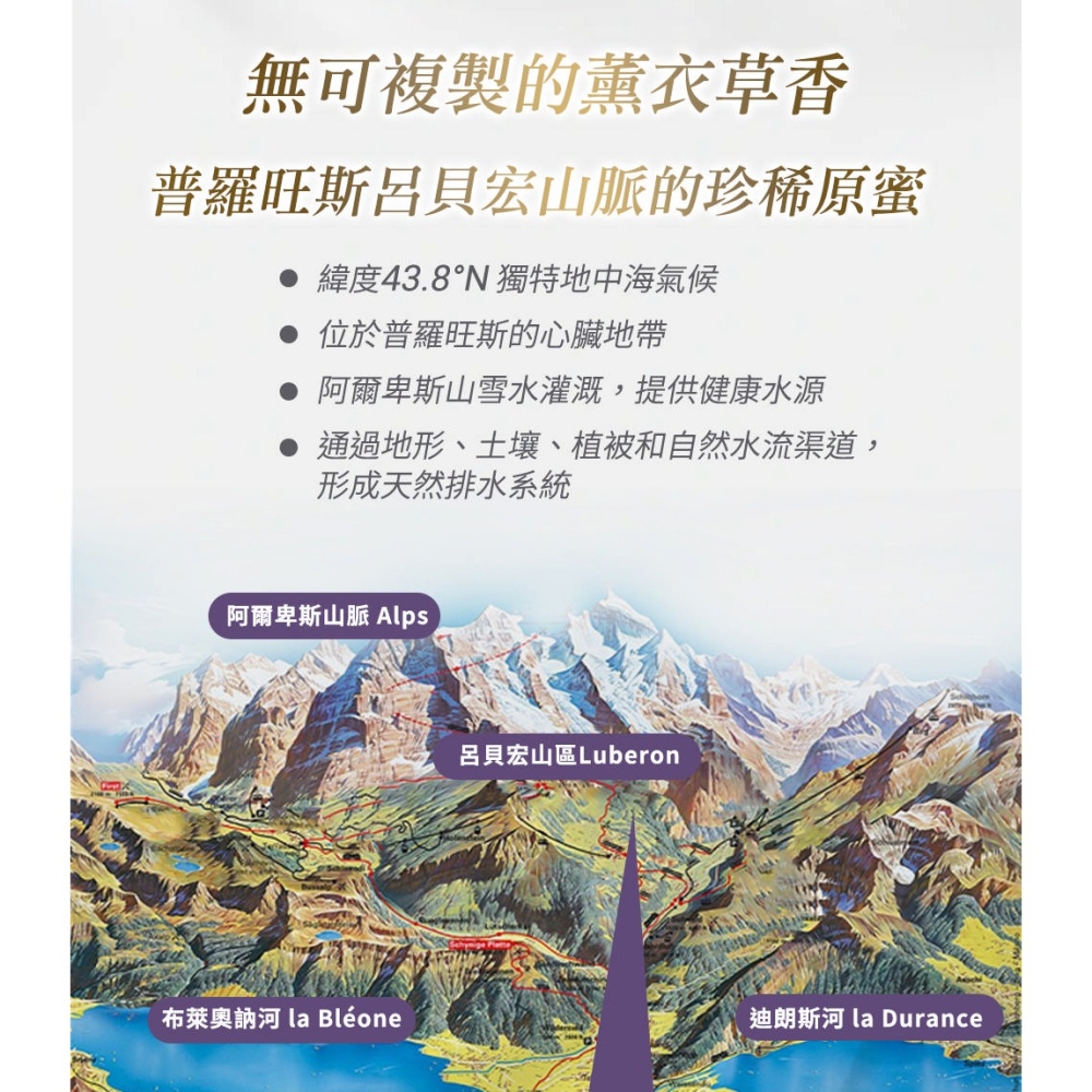 大漢酵素 暢速樂酵素錠 60錠*1【贈】瑪莉家族 薰衣草調製蜂蜜 150g*1 效期2026.10.03-細節圖9