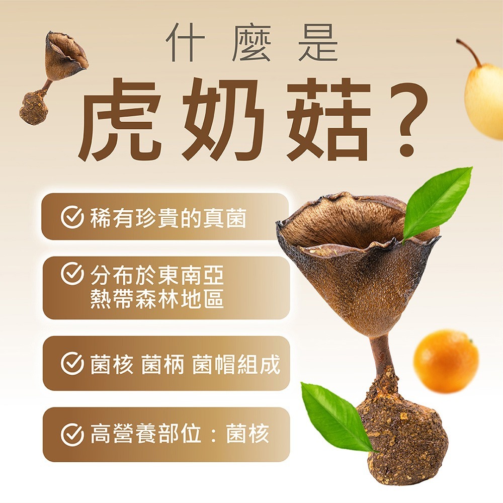 tigrox 虎奶菇漢方喉糖50g*1【贈】不二家 Peko牛奶糖 72g(袋裝)*1 效期2026.12.17-細節圖5