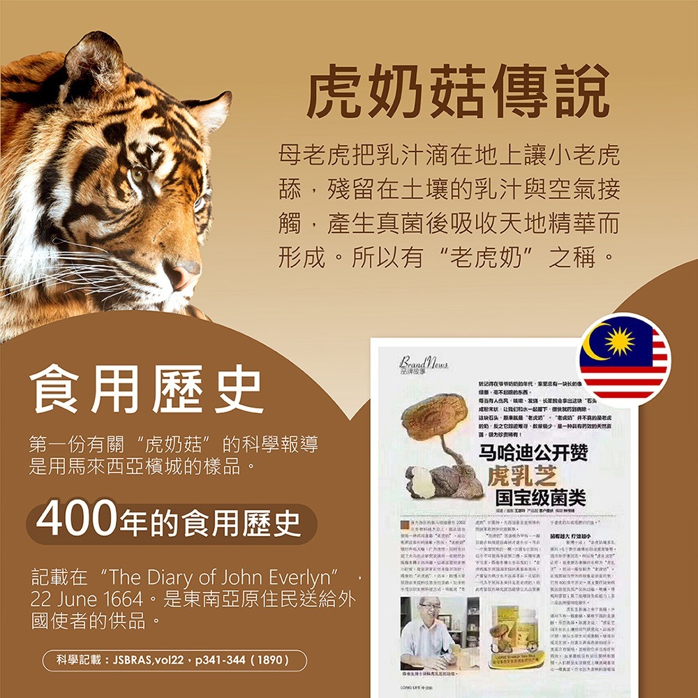 tigrox 虎奶菇漢方喉糖50g*1【贈】不二家 Peko牛奶糖 72g(袋裝)*1 效期2026.12.17-細節圖6