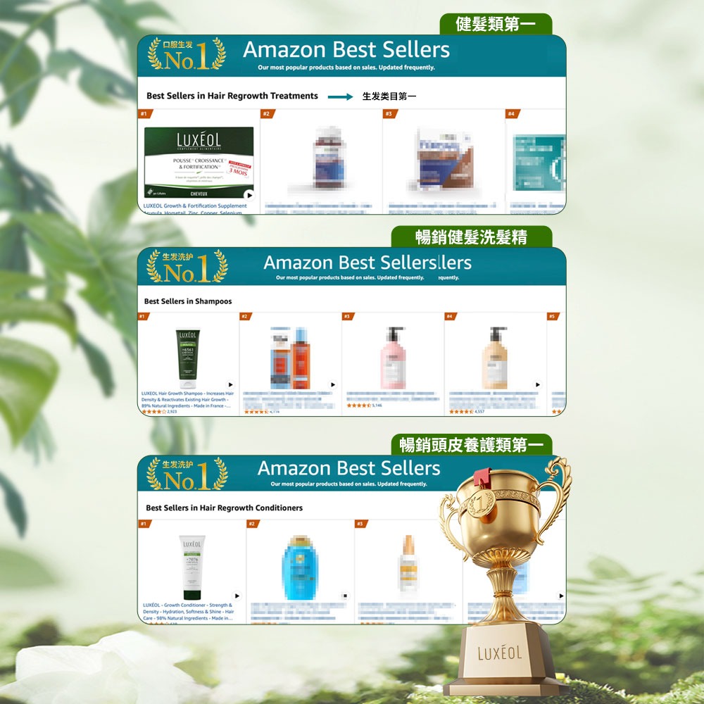樂絲歐 頭皮舒活護髮乳 200ml*1【贈】舒妃自然匯InNature 綠咖啡強韌防斷落洗髮精 300ml*2-細節圖3
