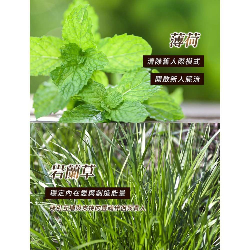 Maria Von能量噴霧30ml*1(貴人桃花/開運招財任選)【贈】舒妃自然匯InNature零距淨化噴霧45ml*1-細節圖4