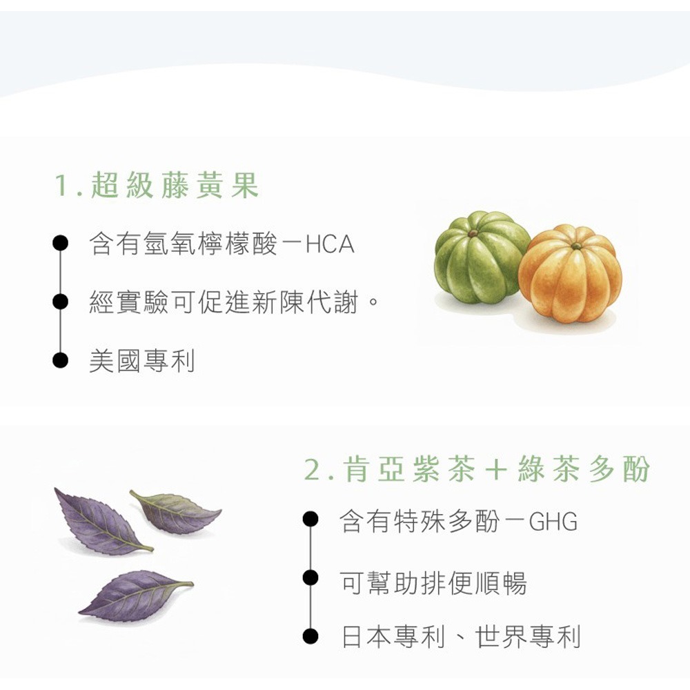 禾本妍 青盈孅奶綠 10gx8包*1【贈】鍋寶 TR55健康瓶550ML*1 (黃色/淺藍綠 任選)-細節圖3