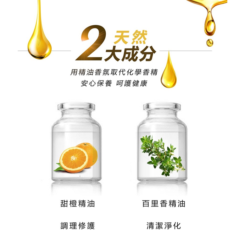 SPEED S. 美背深V涼感Bra*1(顏色/尺寸任選)【贈】APISERUM 愛比森 胺基酸潔顏慕斯 100ml*1-細節圖11