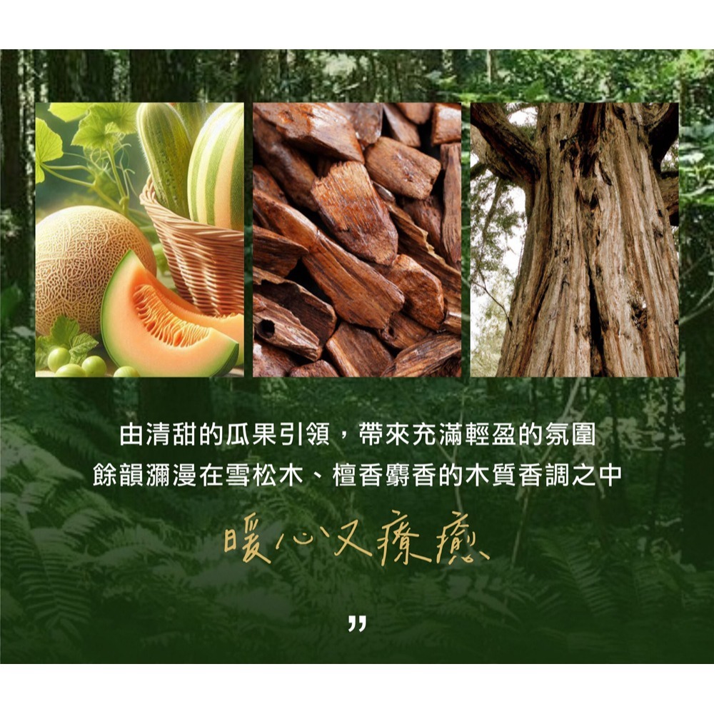 APISERUM 愛比森 精油沐浴精*1(款式任選)【贈】舒妃自然匯InNature 綠咖啡強韌防斷落洗髮精*1-細節圖11
