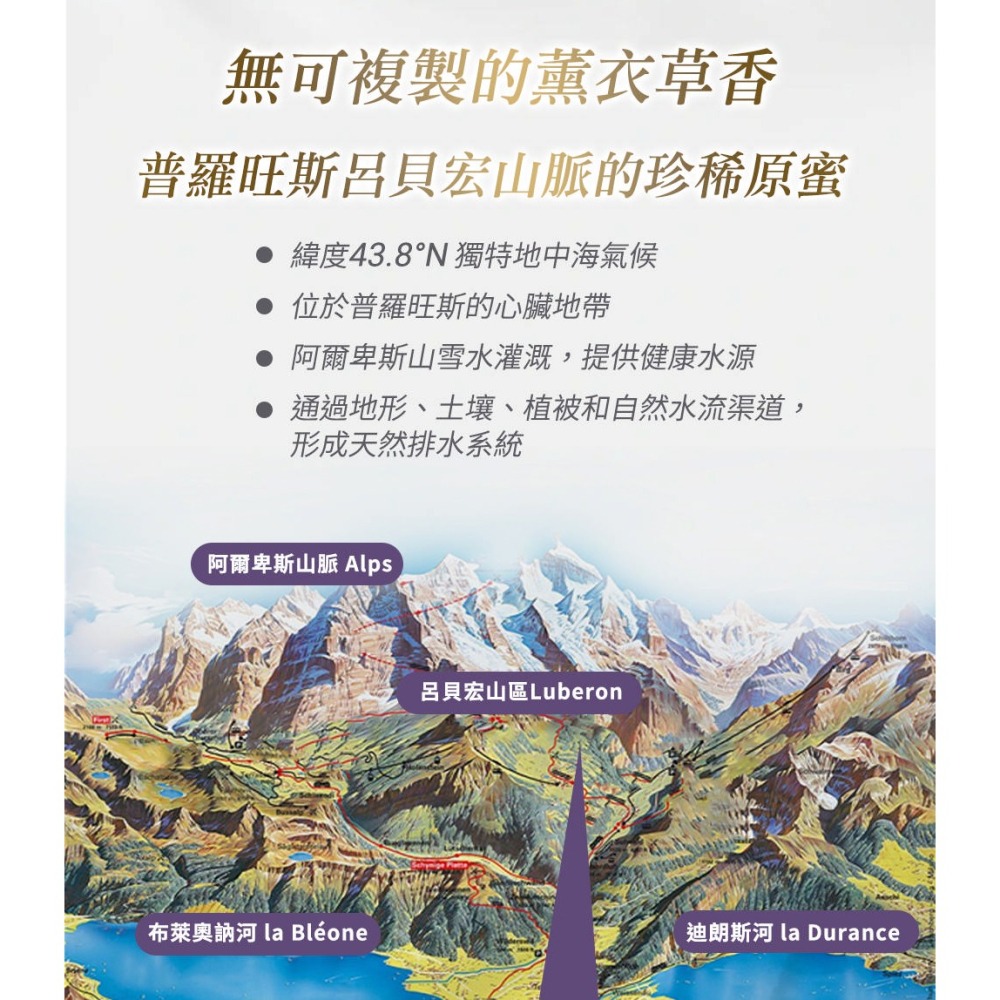 瑪莉家族 薰衣草調製蜂蜜 150g*1 效期2026.10.3【贈】LA·VAOLORE 菈薇奧兒美妍粉晶刮痧板*1-細節圖4