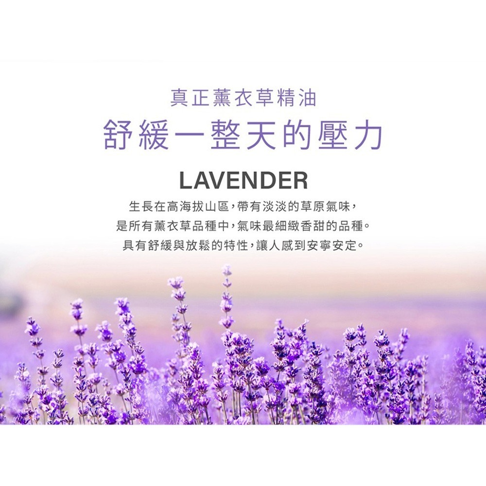 JDST珍朵斯特 薰衣草肌安舒緩保濕乳100ml*2【贈】Maria Von 胺基酸潔顏慕斯 30ml*1-細節圖5